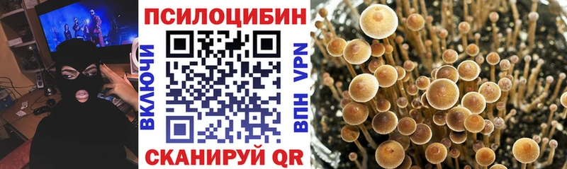 Псилоцибиновые грибы Magic Shrooms  магазин продажи   дарк нет какой сайт  Кинешма 
