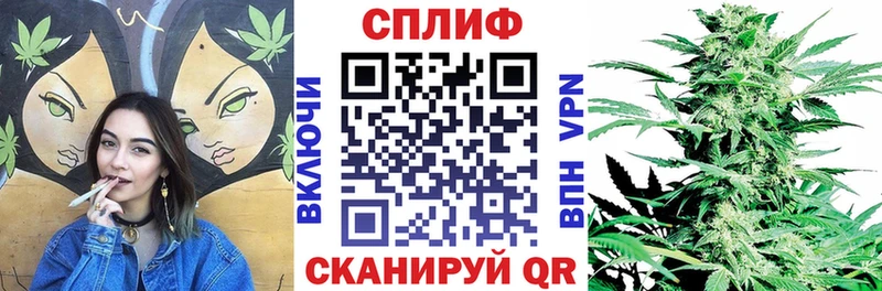 как найти закладки  Кинешма  МАРИХУАНА SATIVA & INDICA 